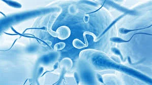 Tesa Pesa Male infertility